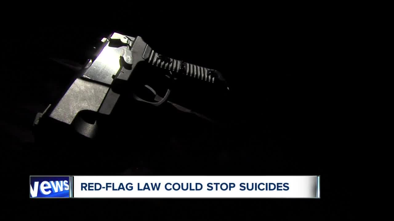 Doctor says 'Red Flag' gun laws should allow mental health practitioners to sound alarm