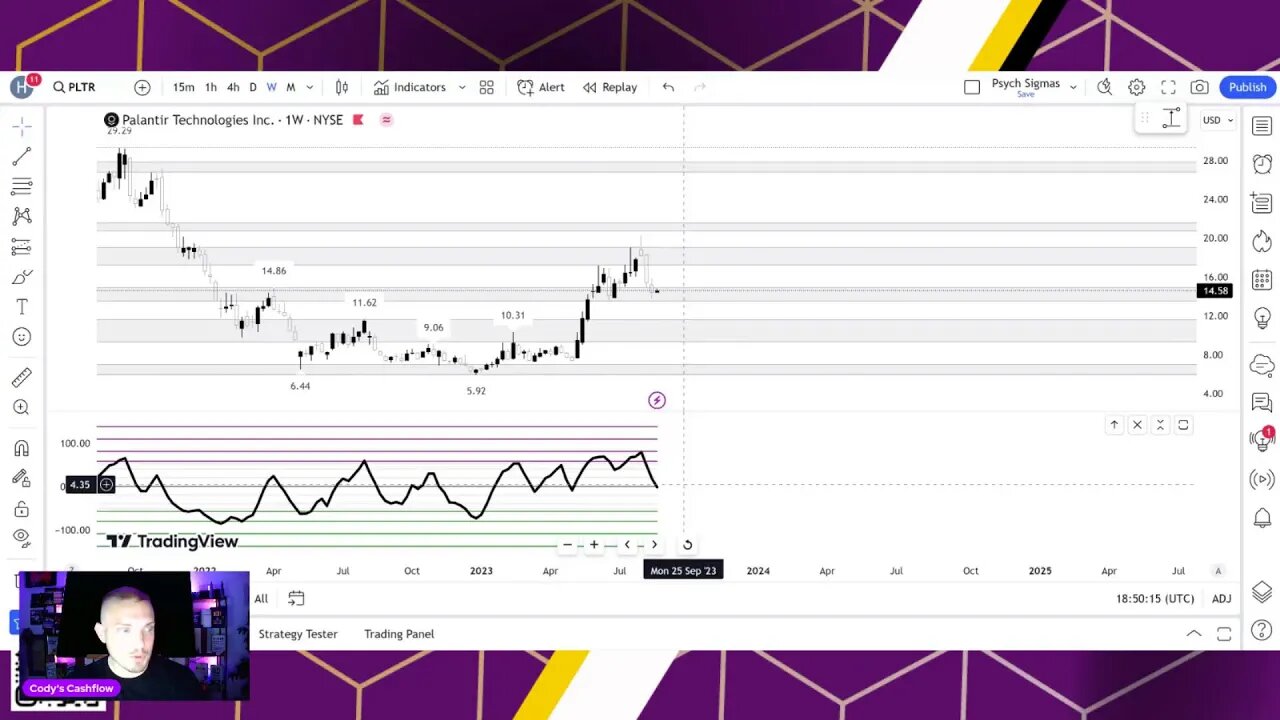 Cody's Cashflow Charts Chat: Making Sense of the Market Weekly