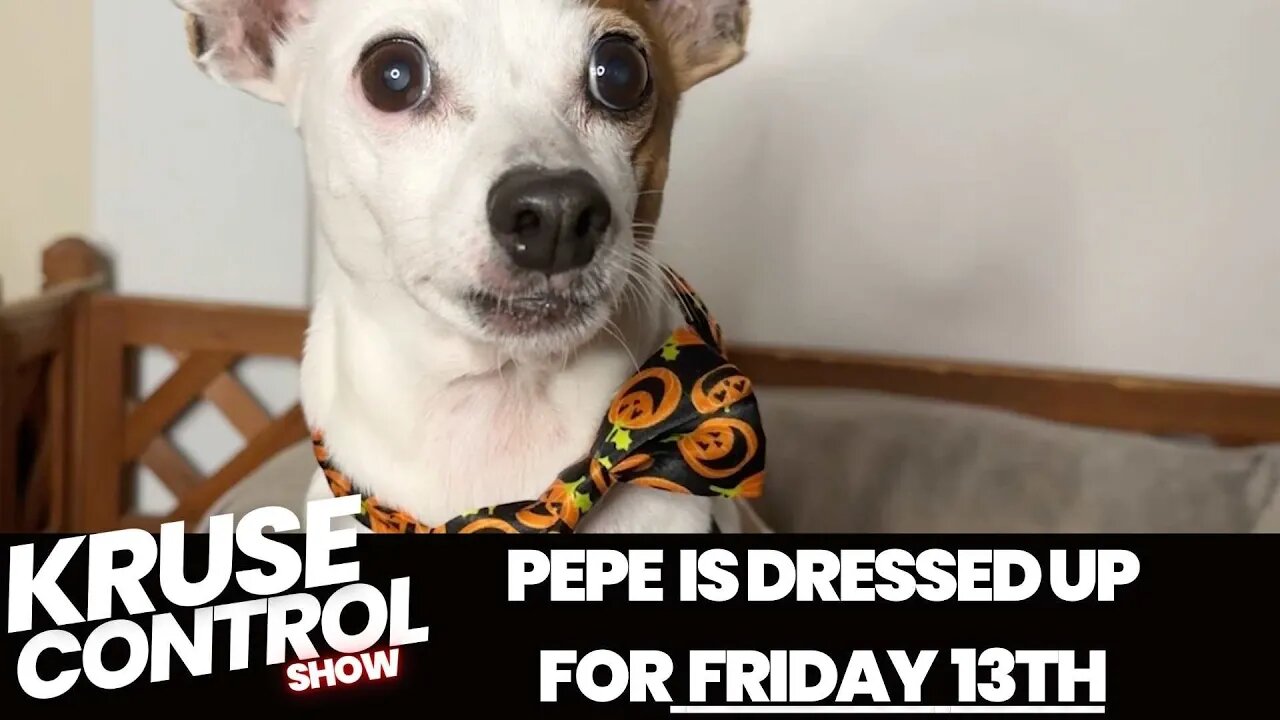 Pepe is dressed up for Friday the 13th