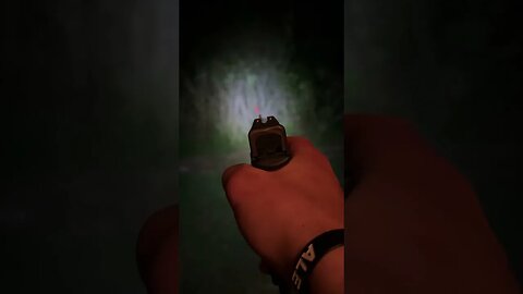 Glock 19 EDC 30 round mag and laser light combo show everyone your fav carry #edc