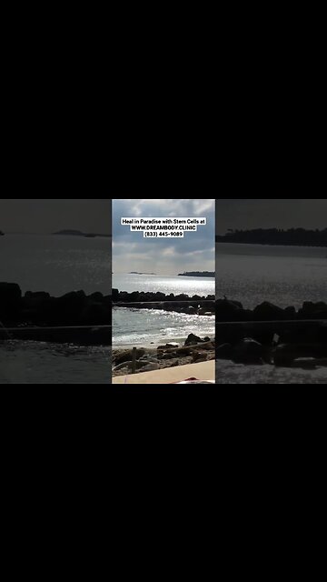 Heal in Paradise with Stem Cells #heal #stemcells #stemcelltherapy #regenerativemedicine