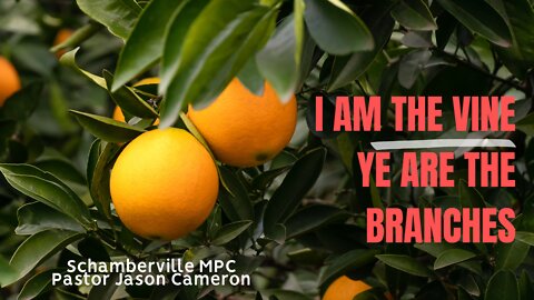 I Am the Vine - Ye Are the Branches