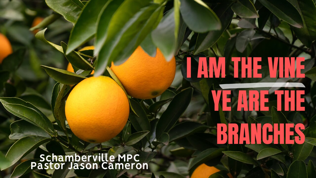 I Am the Vine - Ye Are the Branches