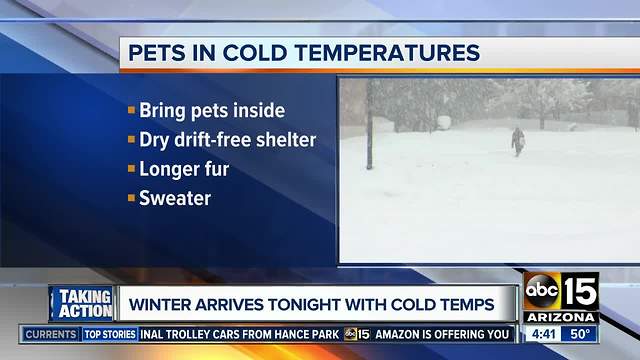Keeping your pets warm as temperatures drop