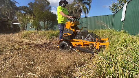 I almost REGRETTED offering to clean this up at NO COST! So much GRASS! #satisfying