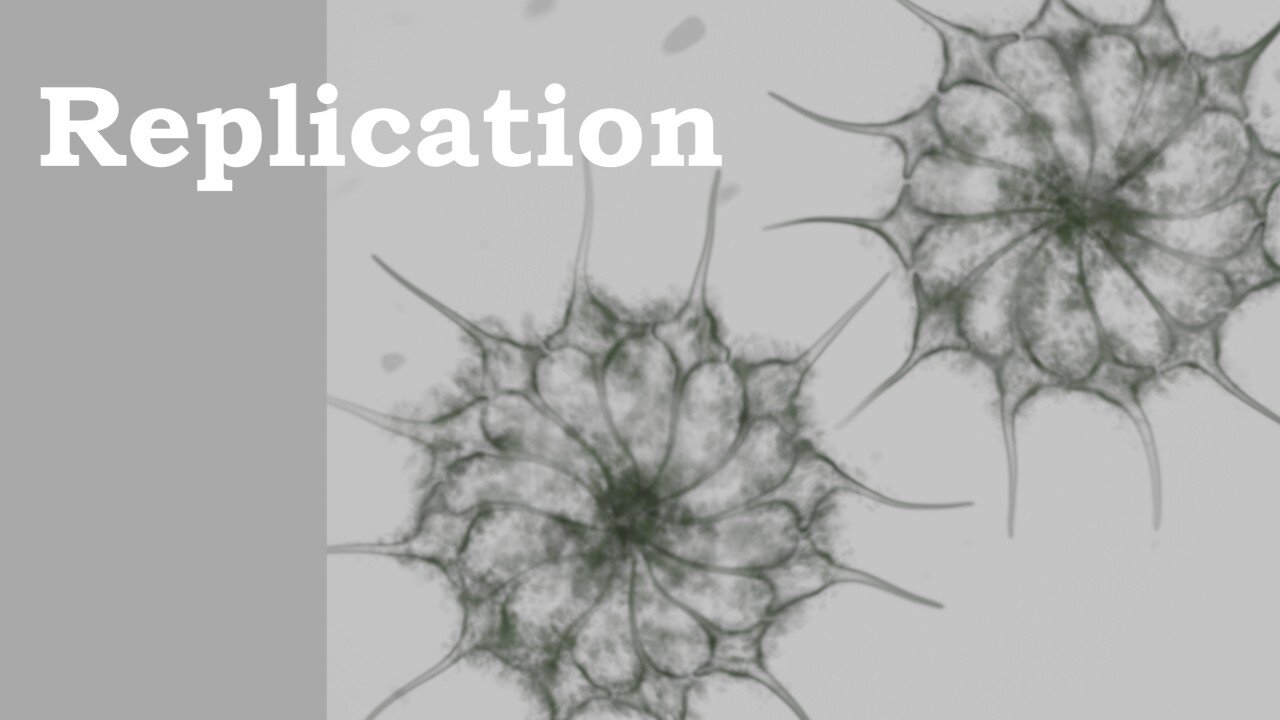 Variant Cell Replication | Goims!