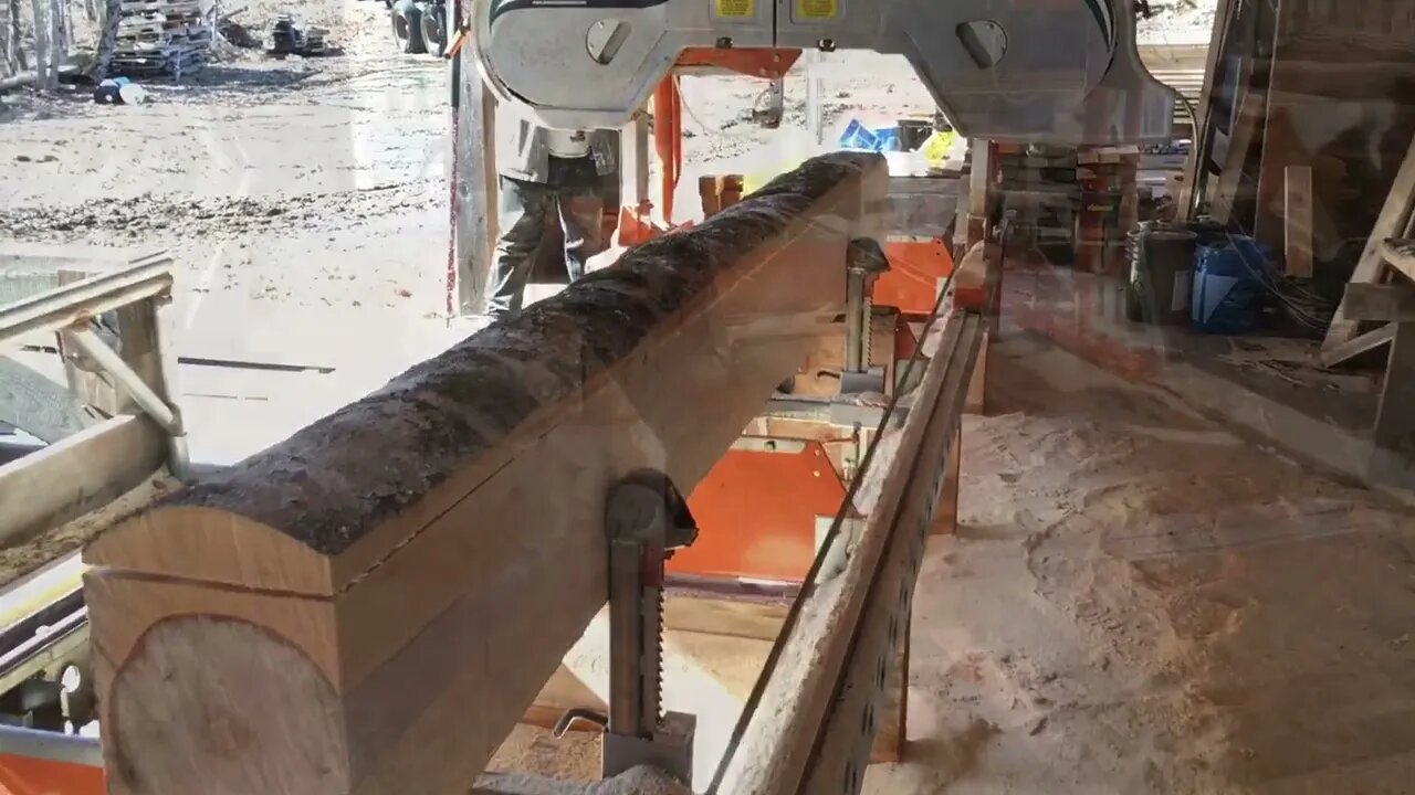 Norwood MX34 sawing beech