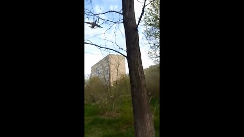 Low-flying Russian jet passes overhead at high speed