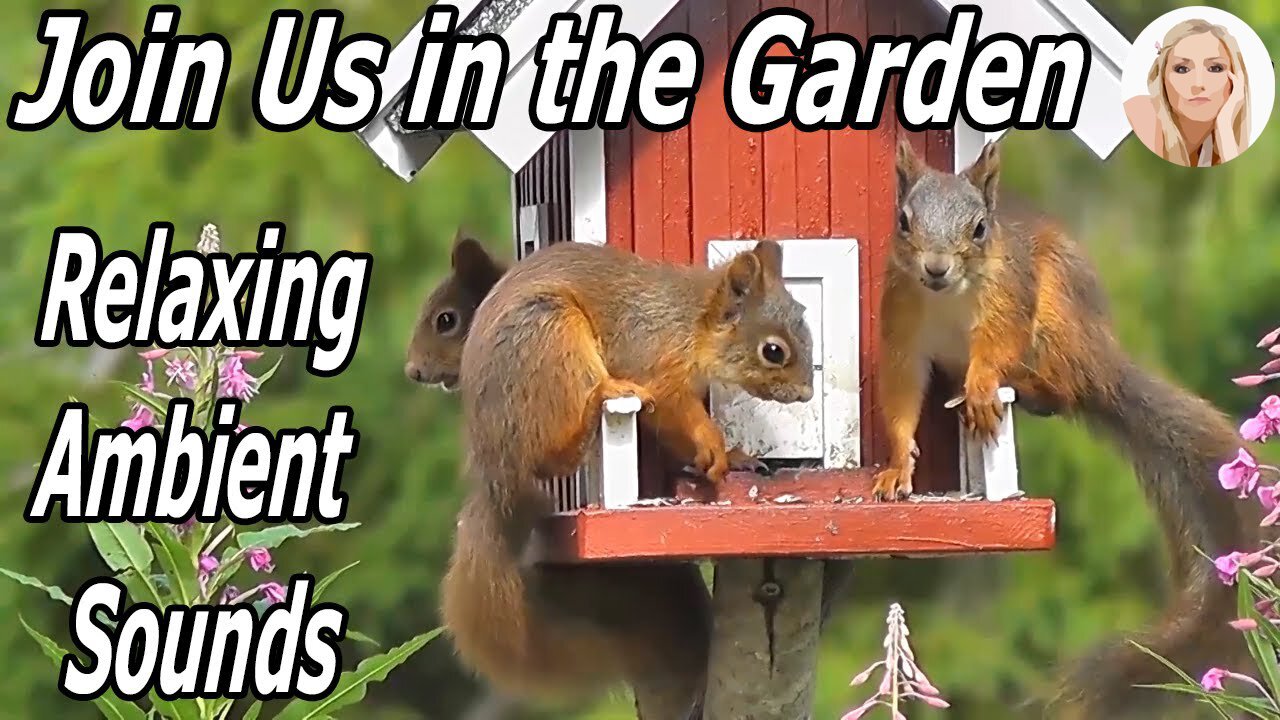 Escape to the Garden: Relaxing Ambient Sounds of Birds and Bees in Full Bloom - while Squirrels play