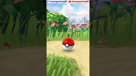 Pokémon GO-Shaymin Encounter