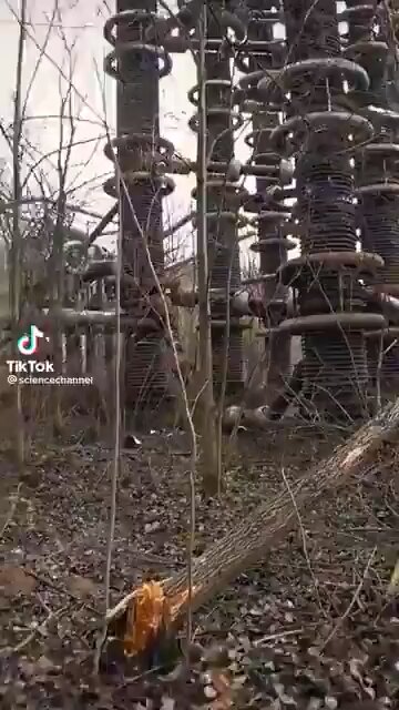 What is this that was found?