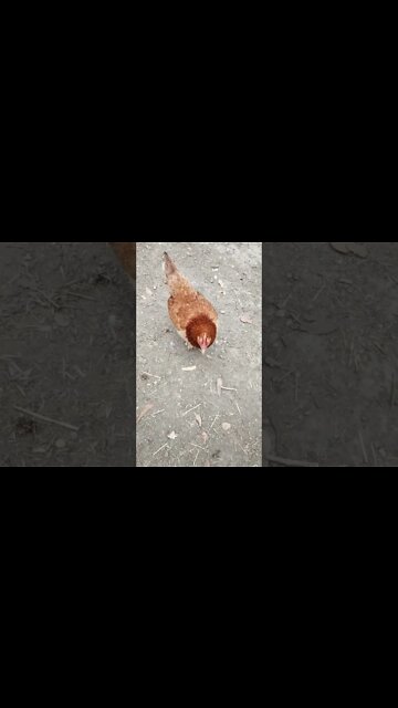 Good morning Forest 29th September