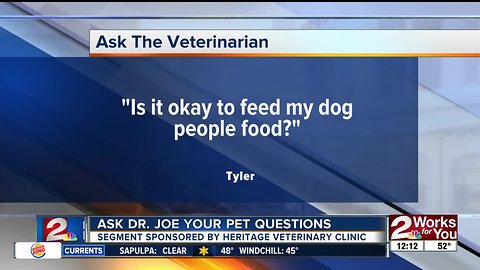 Ask Dr. Joe your pet questions