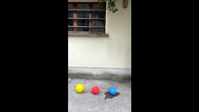 Magic baloons. Crazy trend. Funny TikTok by NOODINA shorts