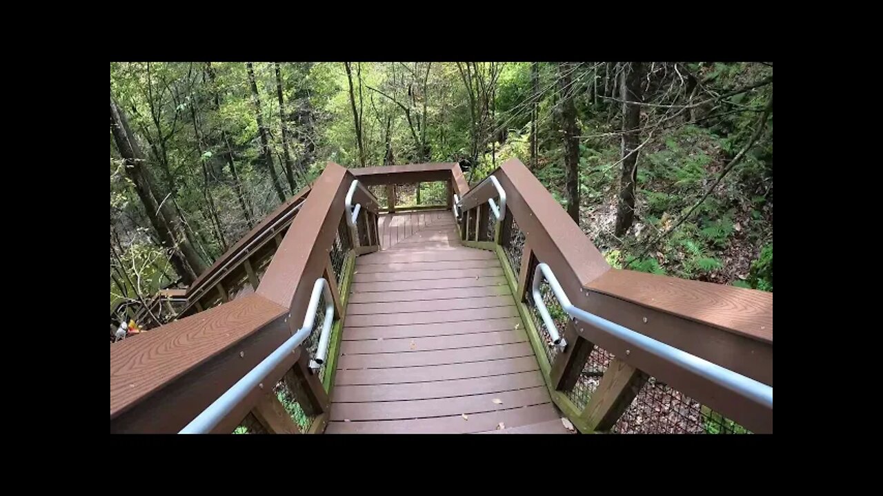 Devils Millhopper State Park Gainesville FL