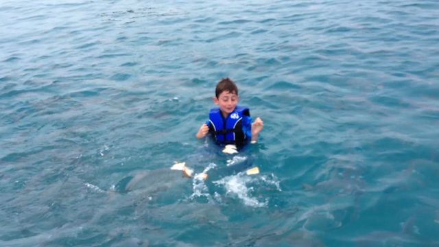 Adorable Boy Makes Friends With Curious Fish