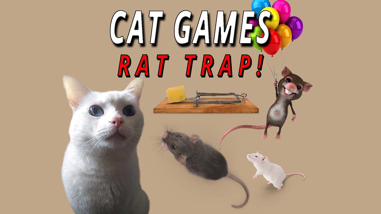 CAT GAMES: Rat Trap!