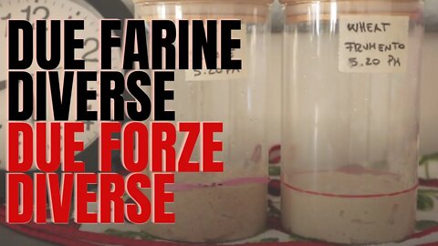 Nutrire il lievito madre 😀 con due grani diversi