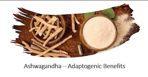 Ashwaghanda Adaptogenic Benefits