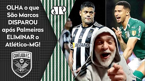 "NA PRÓXIMA VEZ, VOCÊS..." OLHA o que São Marcos DISPAROU após o Palmeiras ELIMINAR o Atlético-MG!