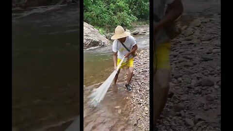 Fishing in shallow water but... #fishing #riverfish #fish #goldenfish #netfishing