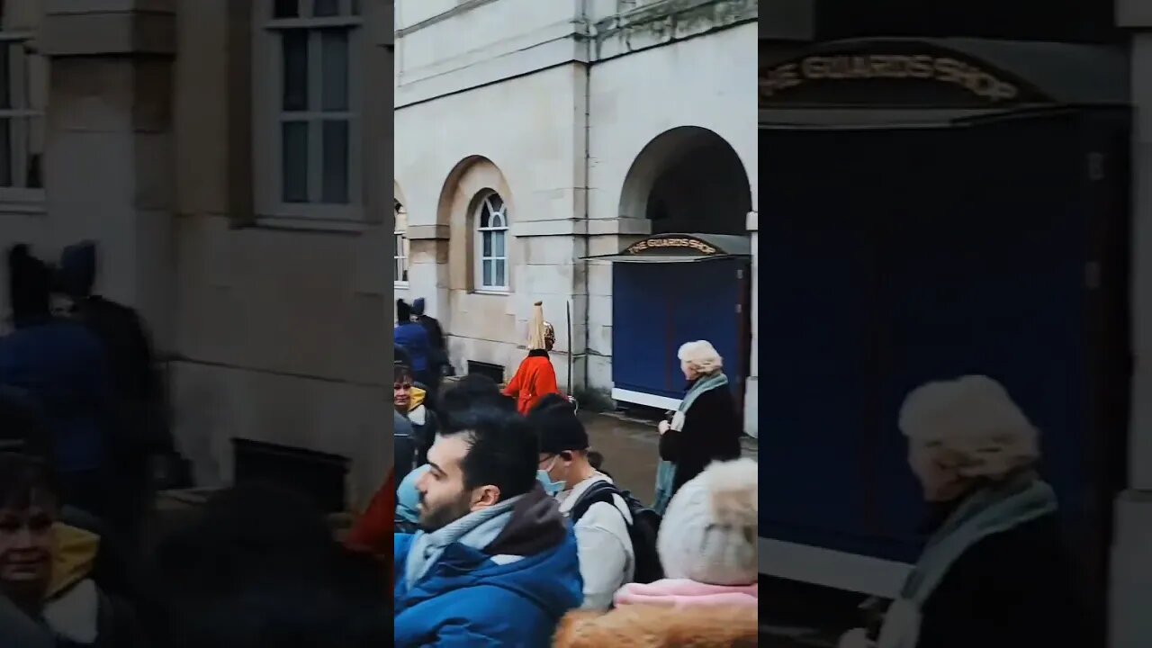 The guard goes to wrong place looking for the other guard #horseguardsparade