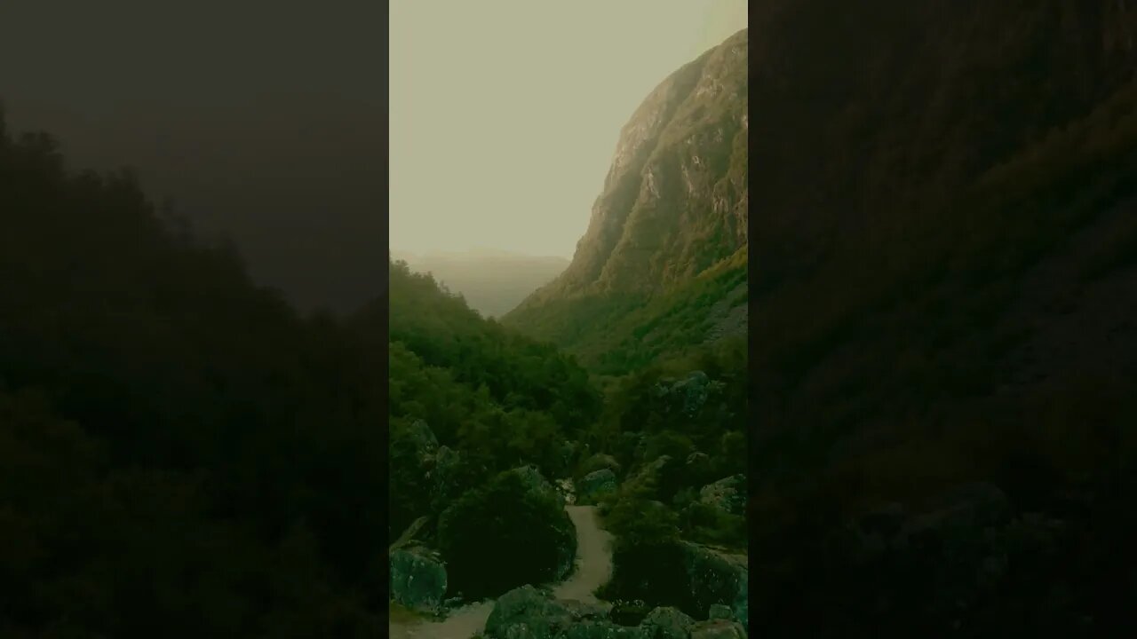 Amazing 👏 Drone Footage of Forest #short