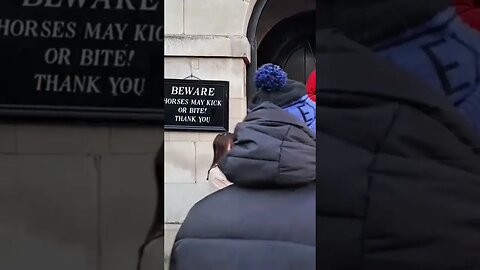 She is so scared of the horse #horseguardsparade