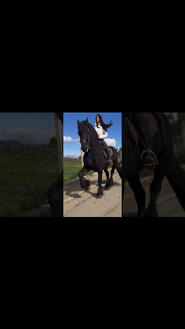 March March Marching#animals #pets #horse #friesianhorse #minihorse #cats #catsoftiktok