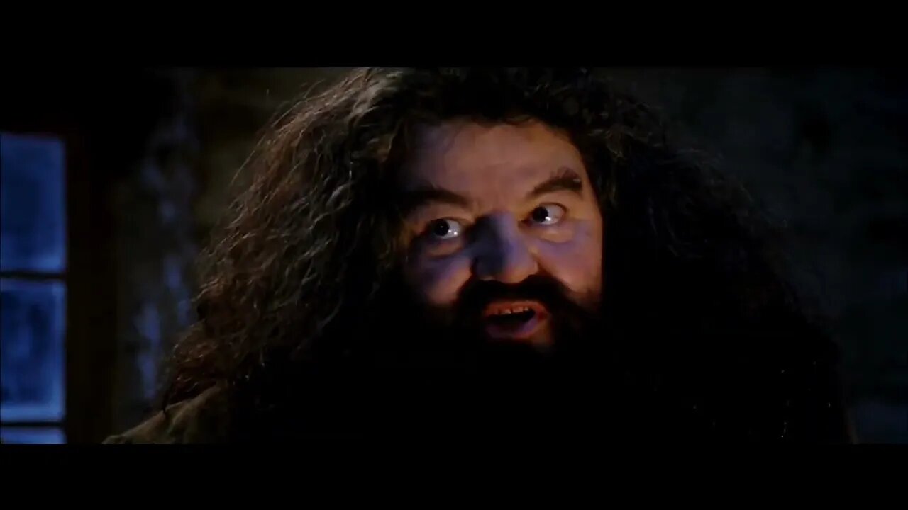 Harry, Porter You're A wizard A What