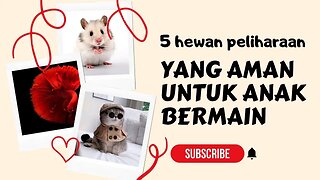 5 Hewan Peliharaan yang aman untuk anak bermain