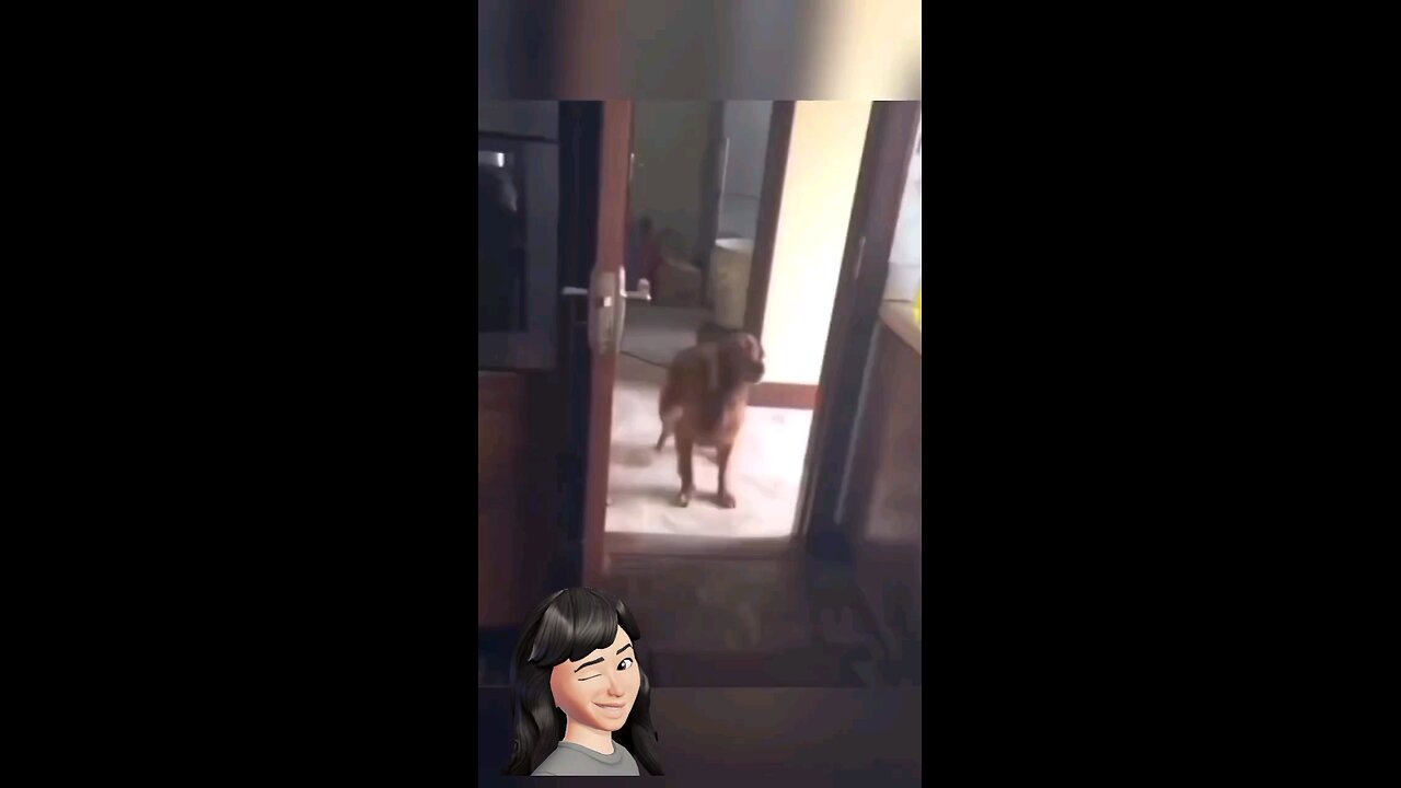 OMG funny