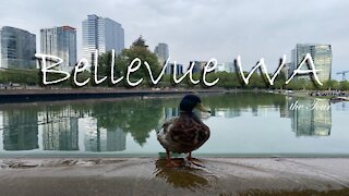 Welcome to Bellevue Downtown Park WA