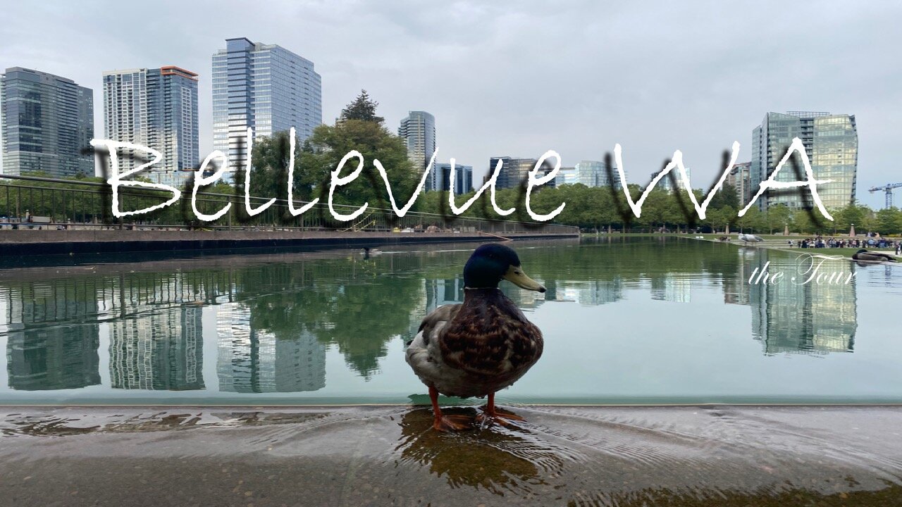 Welcome to Bellevue Downtown Park WA