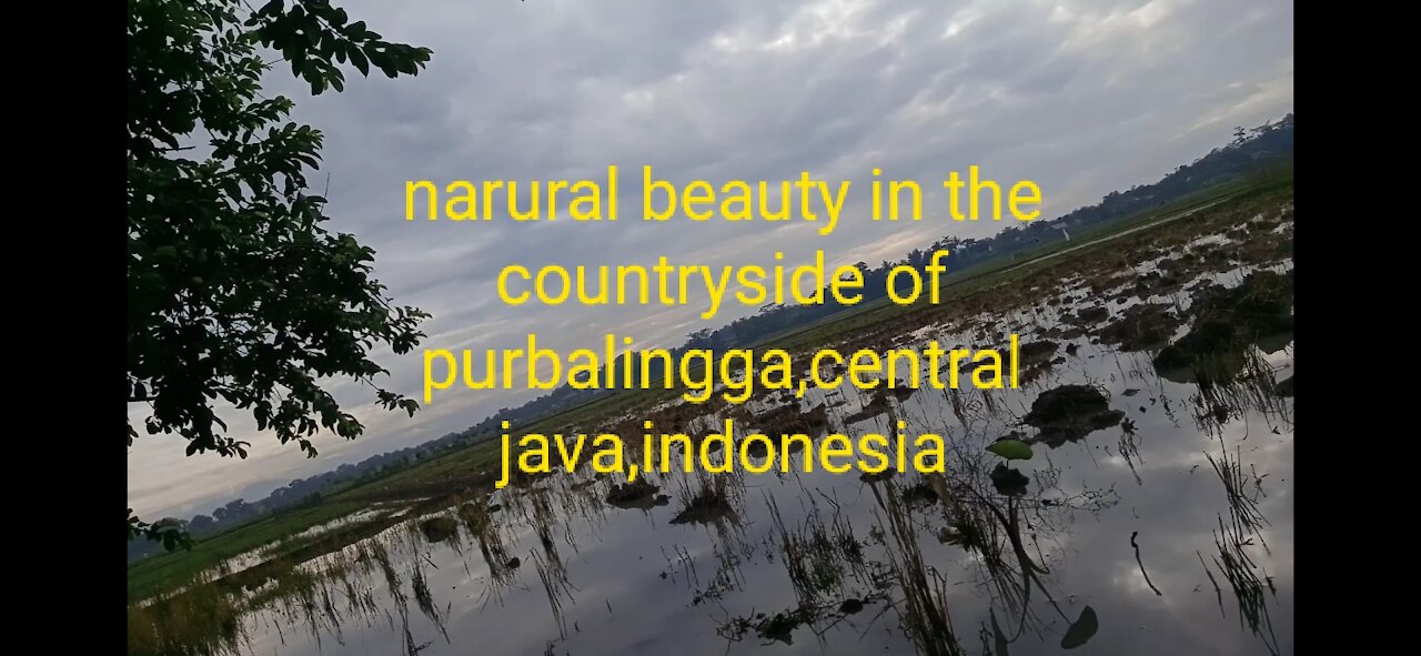 Natural beauty in the countryside of purbalingga,central java,indonesia