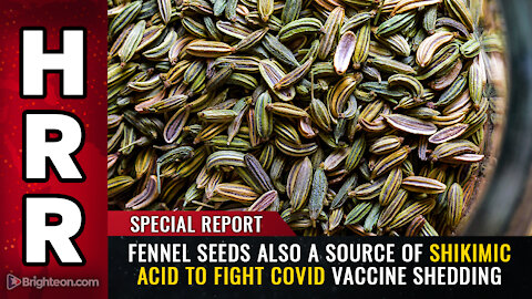 Special Report: FENNEL SEEDS also a source of shikimic acid to fight covid vaccine shedding