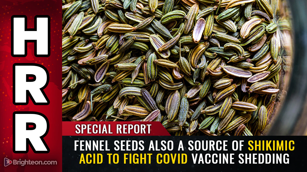 Special Report: FENNEL SEEDS also a source of shikimic acid to fight covid vaccine shedding