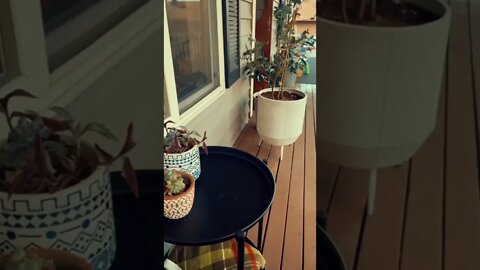 When it’s becoming fall but your jam must remain the same while watching the sun set on your porch.