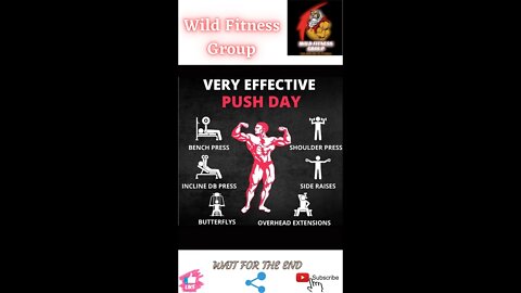 🔥Very effective push day🔥#shorts🔥#viralshorts🔥#fitnessshorts🔥#wildfitnessgroup🔥