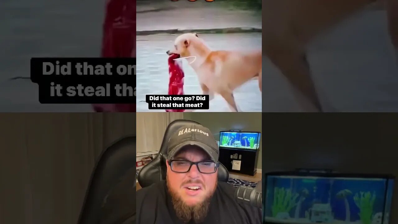 Here’s Your Dose of REALarious…🤣🤣🤣 #duet #watchfunny #makeyoulaugh #loveduet #funnycomedy #funny