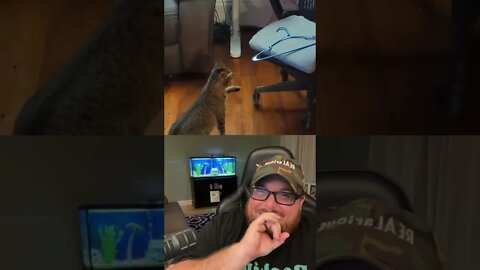 Here’s Your Dose Of REALarious…🤣🤣🤣