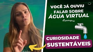 ÁGUA VIRTUAL, VOCÊ JÁ OUVIU FALAR?