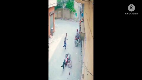 The aggressive dog in front of street