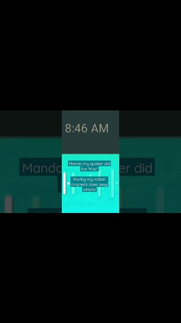 quaker kiss 💋 & Indian Ringneck sexy 😘 whistle 🎶