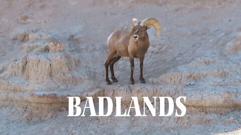 Wall Drug, Missile Silo, and The Badlands | National Parks Trip | Part IX