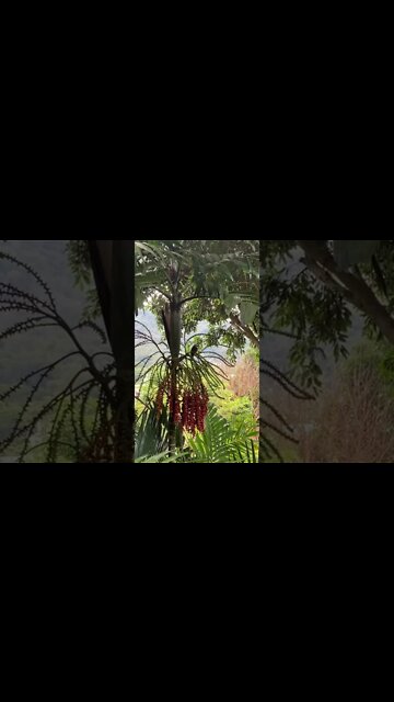 Hi little birdie!! 😙😘🤪