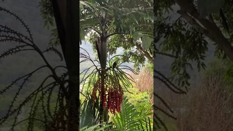 Hi little birdie!! 😙😘🤪