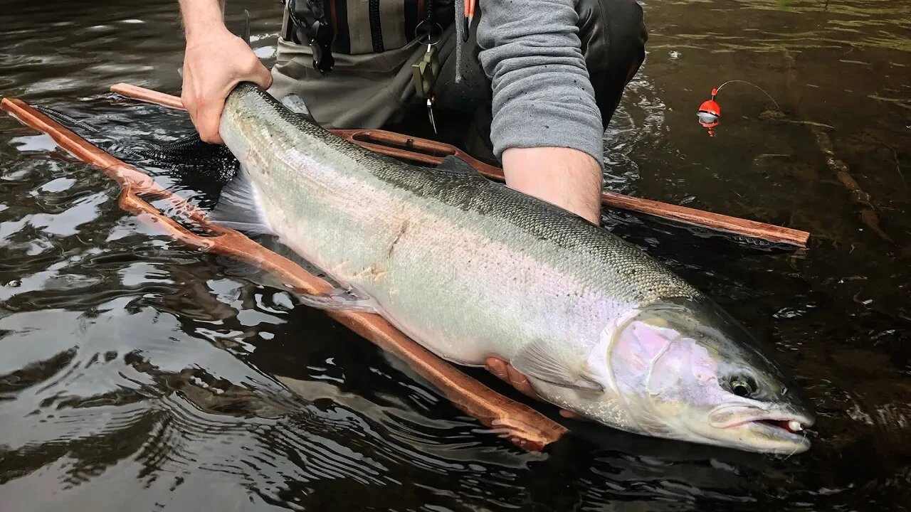 Steelhead Fishing Tips | Properly Handling & Releasing Wild Steelhead