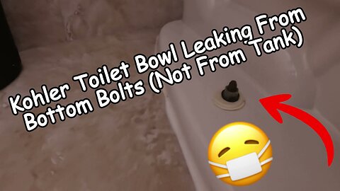 Kohler Toilet Bowl Leaking From Bottom Bolts (Don't Do Anything Until You've Seen This Video!)