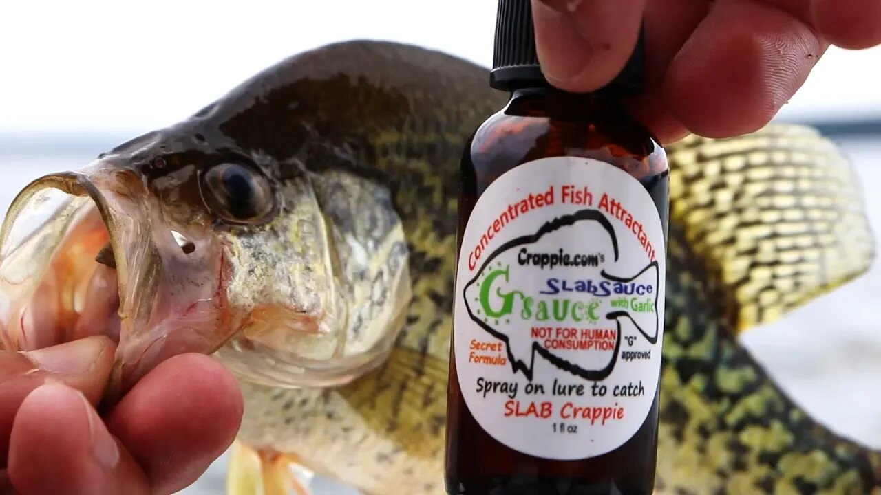 Does GARLIC scent actually catch Crappie? (So Stinky) Ep.4 30 day Challenge